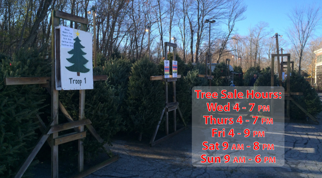 Tree Sales 2018 | Boy Scout Troop 1 Hopkinton